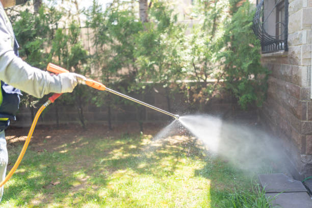 Best Pest Prevention Services  in Alamae, NC